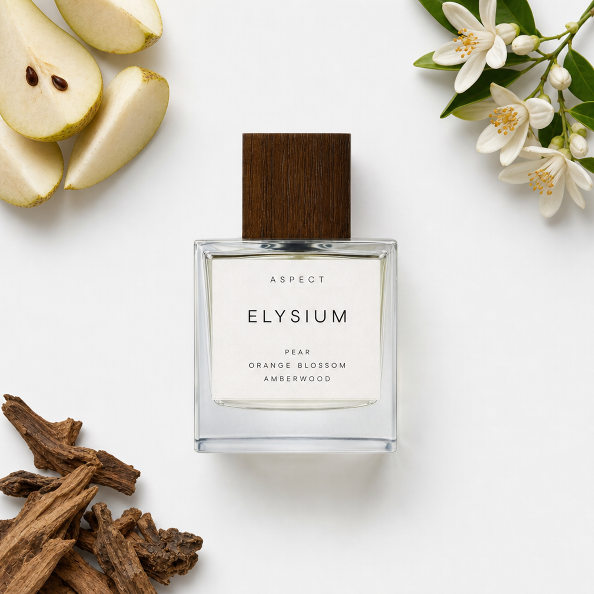 Elysium